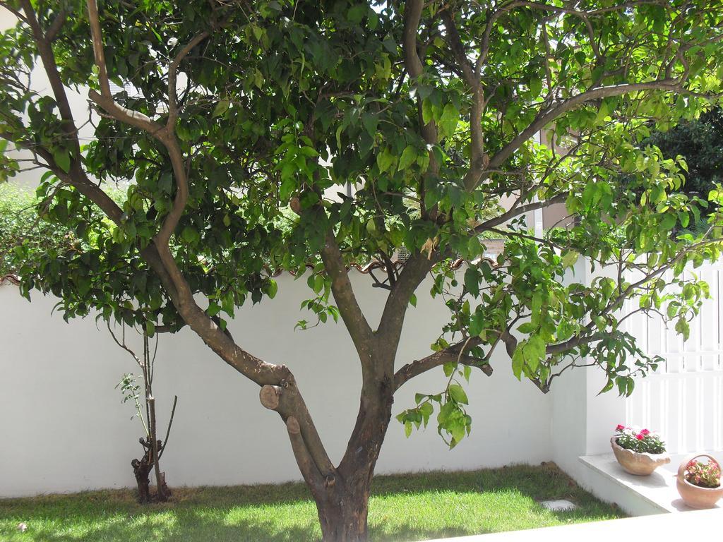 Casa Santolina B&B Rome Buitenkant foto